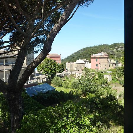 Hotel Silvia Framura - Cinque Terre Eksteriør billede