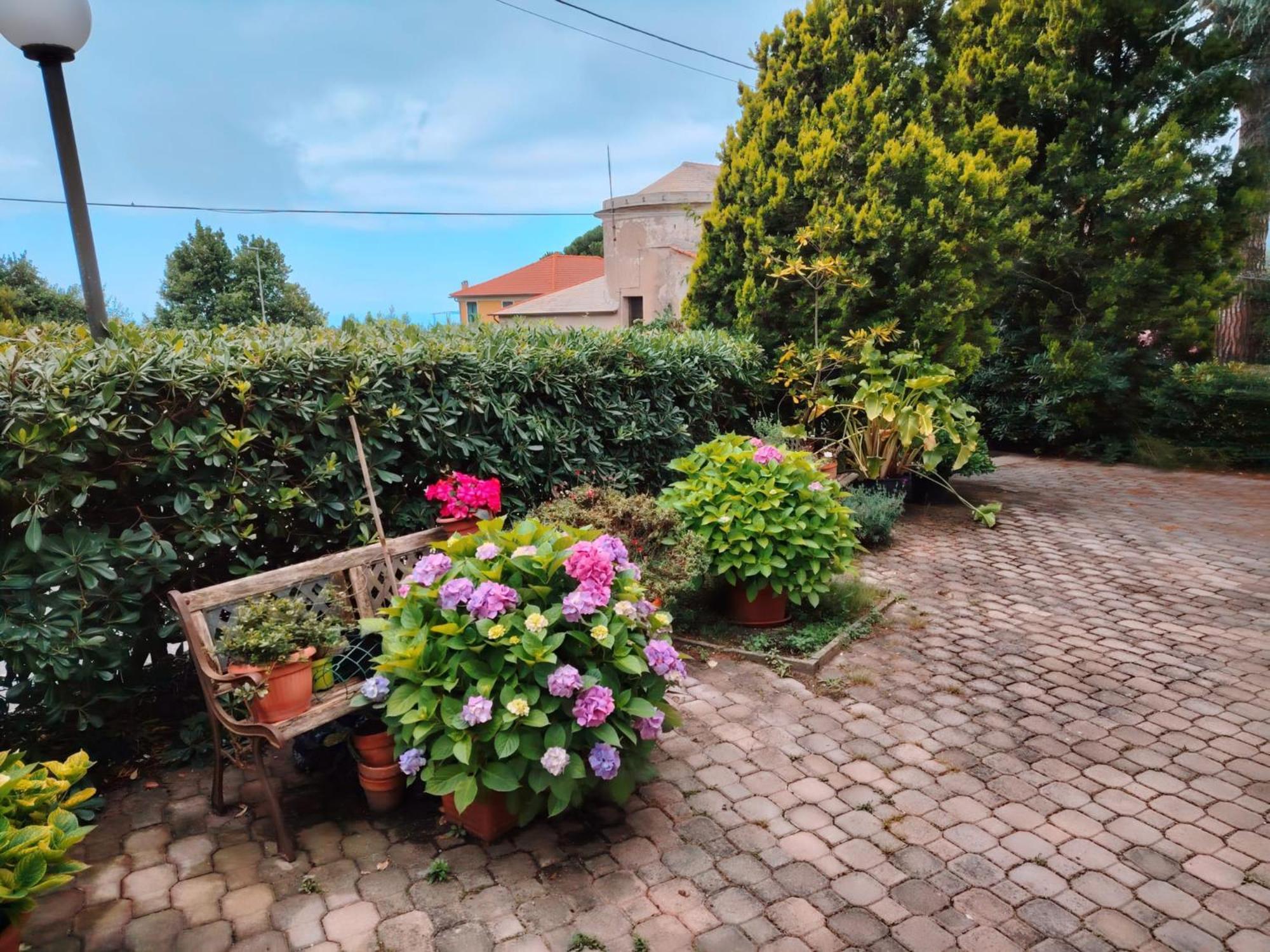Hotel Silvia Framura - Cinque Terre Eksteriør billede