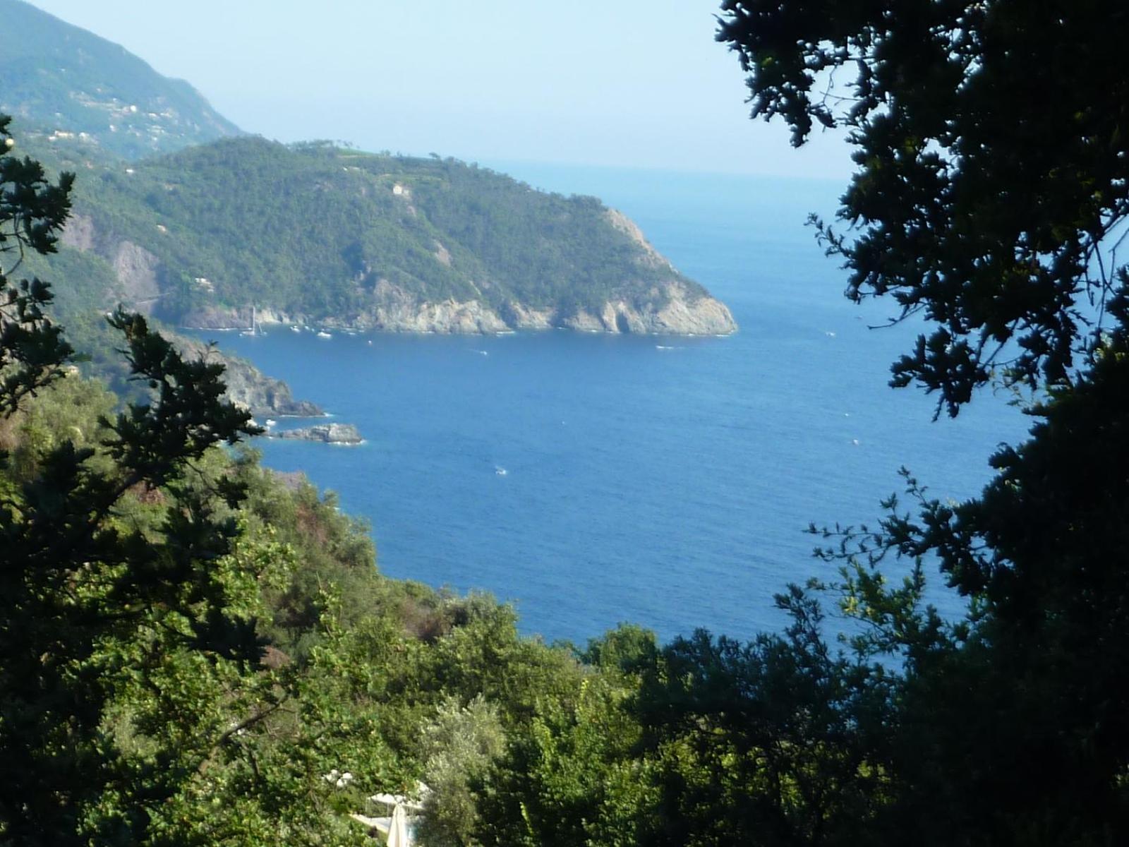 Hotel Silvia Framura - Cinque Terre Eksteriør billede