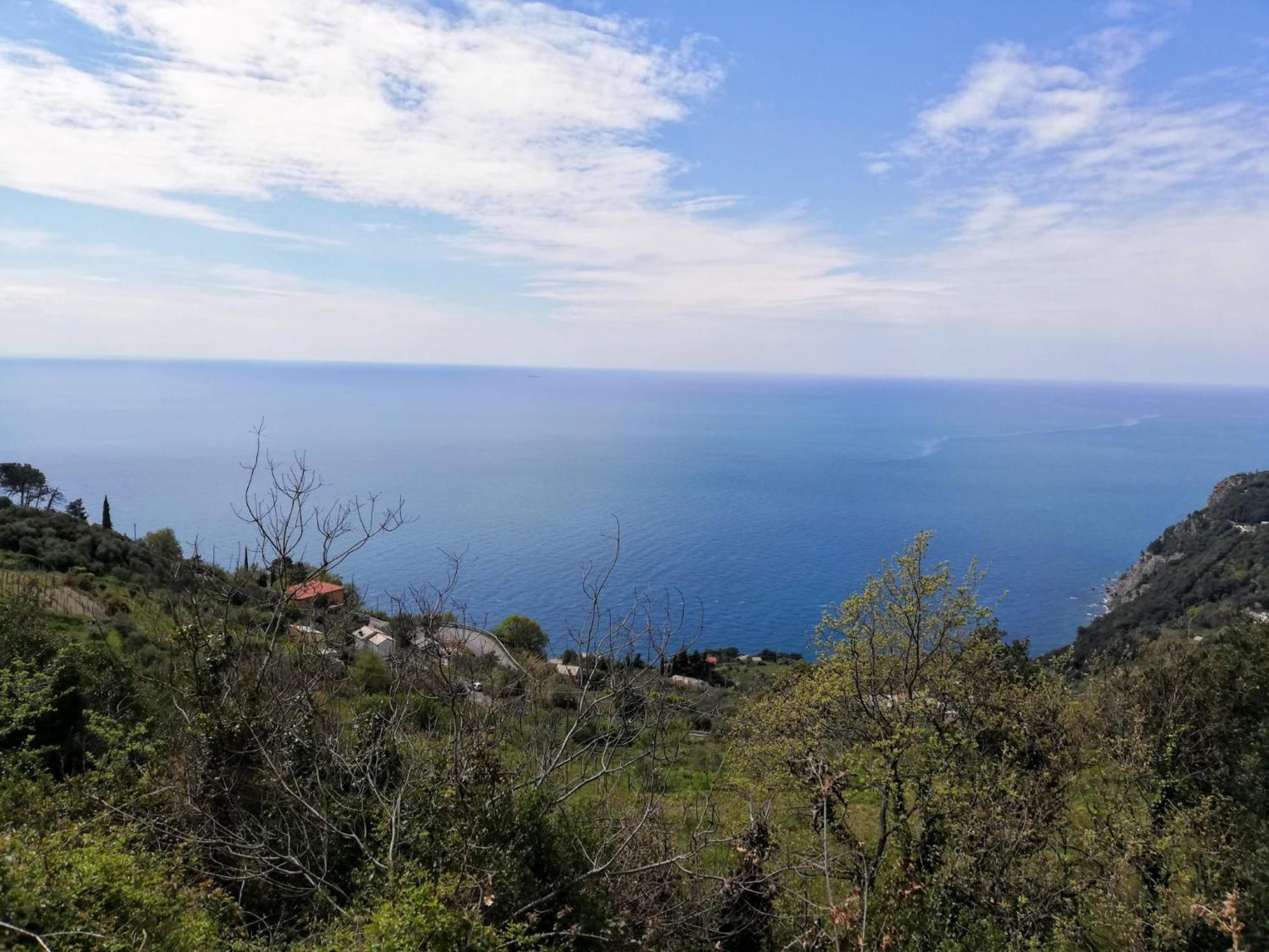 Hotel Silvia Framura - Cinque Terre Eksteriør billede