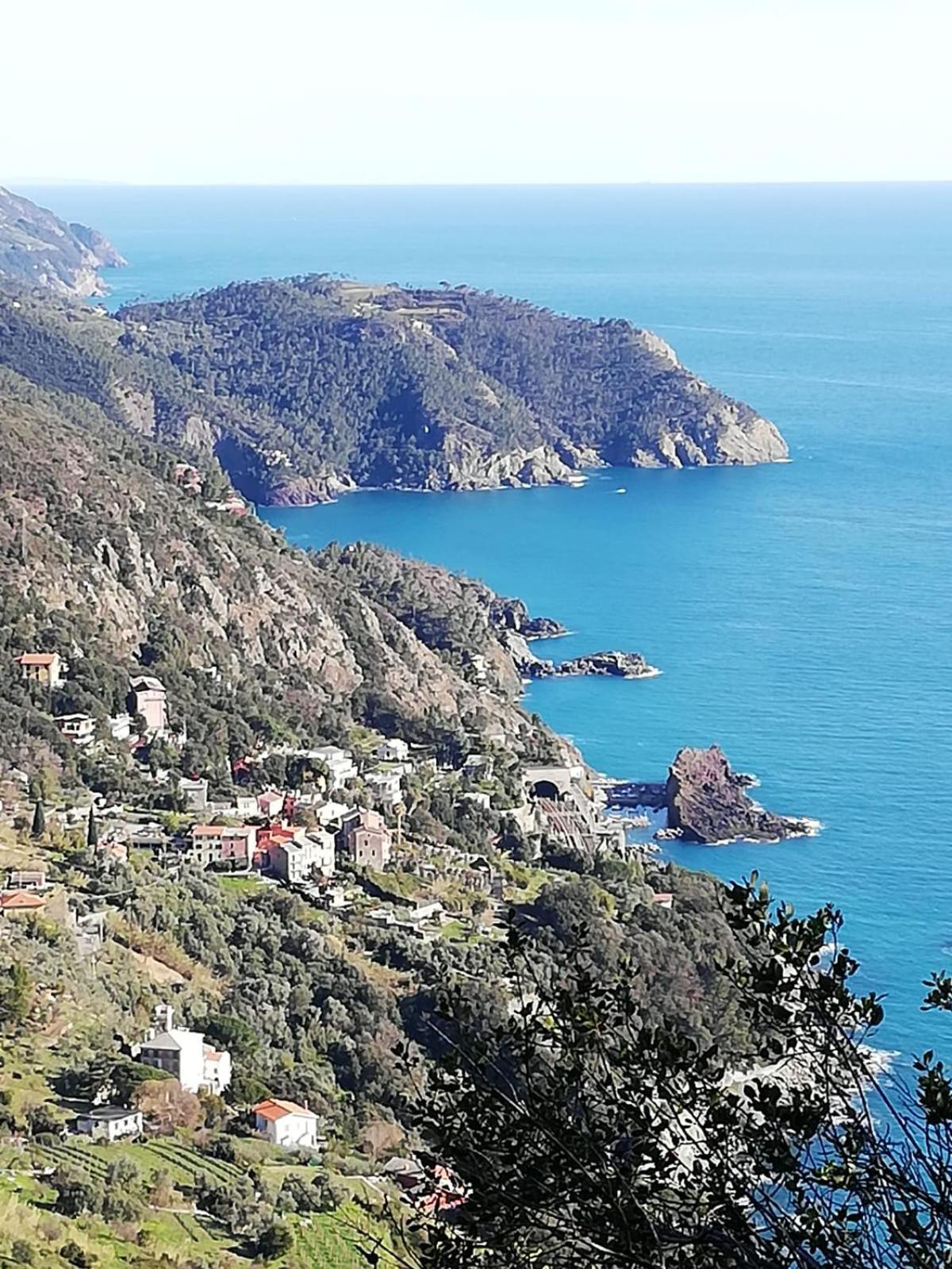 Hotel Silvia Framura - Cinque Terre Eksteriør billede